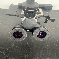 Olympus CKX53 Inverted Microscope image 2